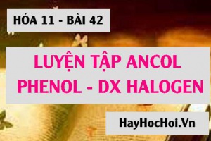 Ancol, Phenol và Dẫn xuất Halogen: Bài tập luyện tập - Hóa 11 bài 42